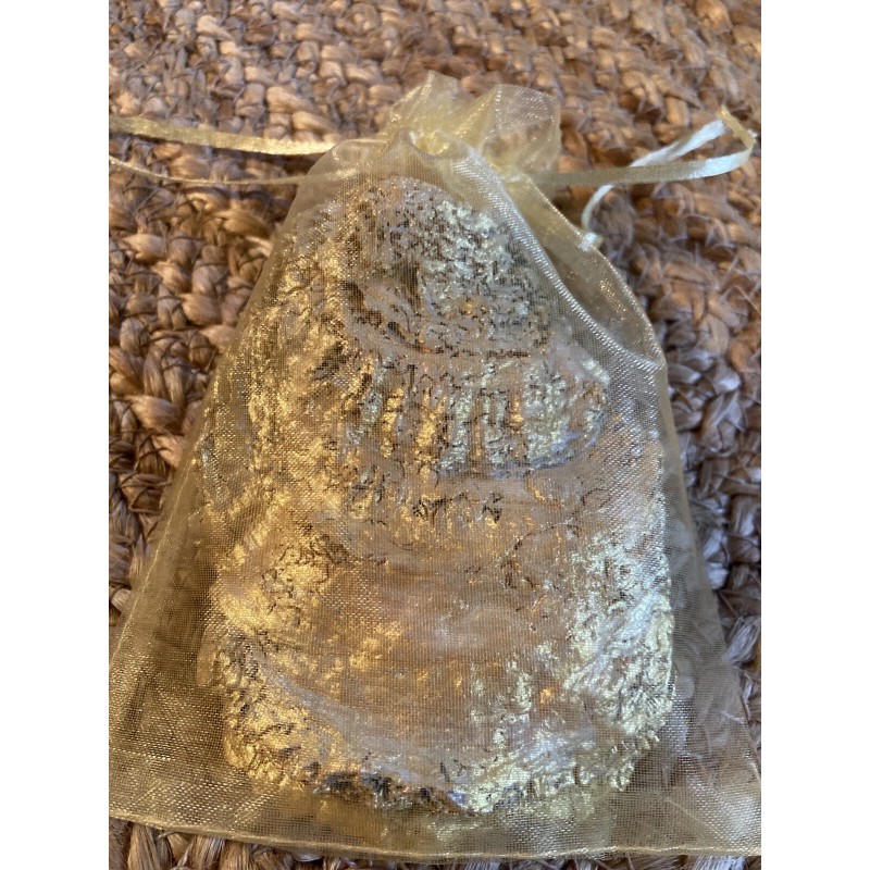 Unbranded Decorative Seashell Oyster Shell for Jewelry Rings Trinket Dish