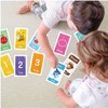 Early Learning Flash Cards Number Flash Cards Alphabet Flash Card