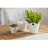 Mud Pie, Small Happy Scallop Pots, 4.5' x 4", WHITE