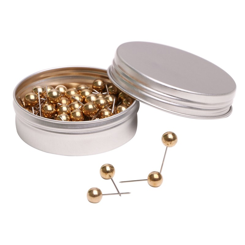 Tupalizy 100PCS 1/4 Inch Small Round Head Map Tacks Pins