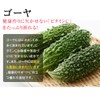 Kyushu vegetables and soup (0.1 oz (3 g) x 80
