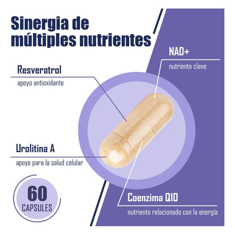 Nad+ Resveratrol 11 En 1 Energía Celular Y Antiedad 60