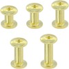 100 Sets Chicago Screws,Leather Rivets Sets with Five Sizes (Gold)