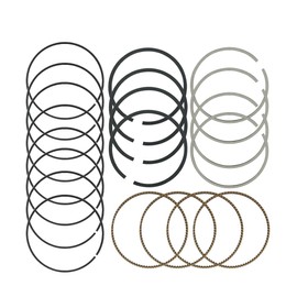 BuliBoao Engine Piston Ring Set Standard Fits for Buick Chevy GMC for Pontiac for Saturn 2.4L 2006-2017 9761304910, 2C5228, PR336