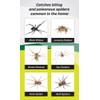 RESCUE! Spider Traps – Catches Brown Recluse, Hobo Spiders, Black