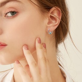 CRMAD Frog Earrings for Women 925 Sterling Silver Cute Hoop Earrings Animal Earrings Jewelry Gifts(Frog)