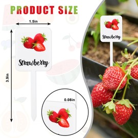 FYSUIMU Acrylic Plant Label Signs Vegetable Fruit Labels Signs T-Type Plant Name Markers Waterproof Reusable Garden Stake Tag with Name for Nursery Indoor Outdoor Garden Decoration, 15Pcs