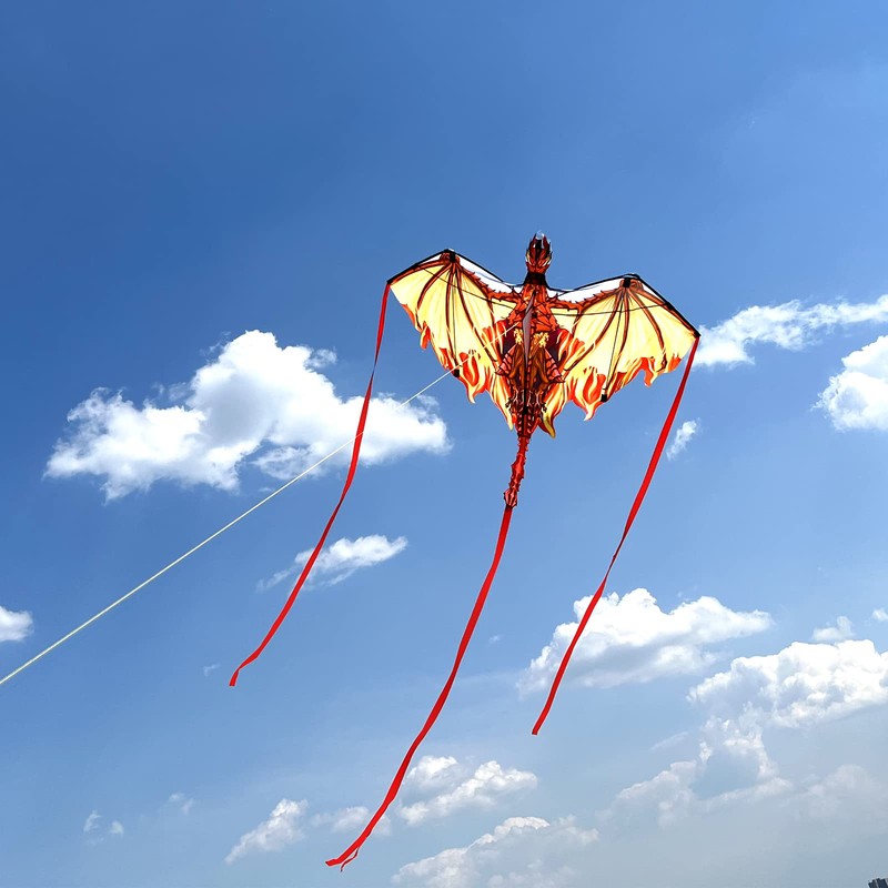 Simxkai Dragon Kite for Adults, Kids, boy, Beginners, Beach,Large, Ages