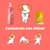 Super Salmon Oil Islandia | Omega-3 Perros Y Gatos 500ml