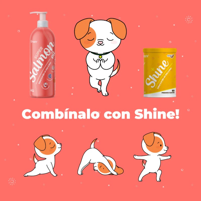 Super Salmon Oil Islandia | Omega-3 Perros Y Gatos 500ml