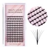 Arison Lashes Premade Lashes Fans False Eyelash Russian Extension Volume