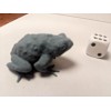 Gus's Games & Oddities GGO Giant Toad D&D Miniature Dungeons