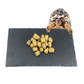 Tfwadmx 2Pcs Reptile Basking Platform Large Tortoise Feeding Bathing Area Turtle Original Rock Plate Grinding Nails Resting Terrace Habitat Decor for Amphibian Reptile Bearded Dragon Chameleon Snake