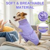 BEAUTYZOO Recovery Suit for Dogs, Dog Surgery Suit Female Spay,