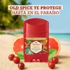 Old Spice Desodorante en Barra para hombre Paradise 50 g