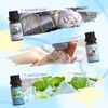 SALUBRITO Clean Fragrance Oils Set, Premium Essential Oils Set for