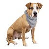 Balec Grey Bandanas by Dozen 12 Pack for Women and