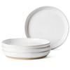 LE TAUCI Dinner Plates Set of 4, 10 Inch Ceramic