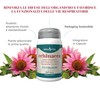 ERBA VITA Integratore Alimentare di Echinacea - 60 Capsule -