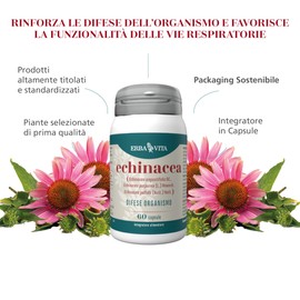 ERBA VITA Integratore Alimentare di Echinacea - 60 Capsule - Utile a rinforzare le naturali difese dell'organismo