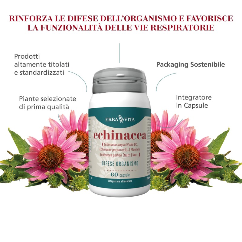 ERBA VITA Integratore Alimentare di Echinacea - 60 Capsule -