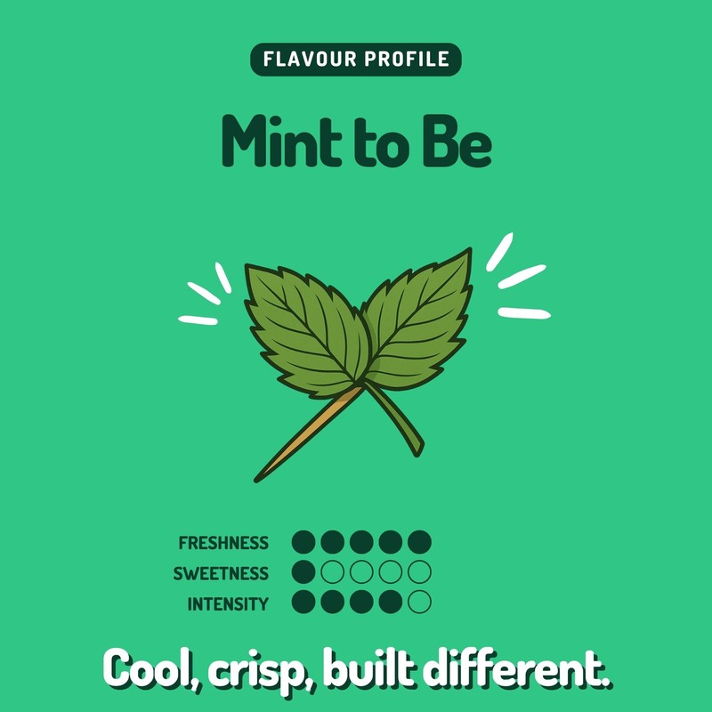 pikz Flavoured Toothpicks – Bold Natural Flavours, Resealable Packs –