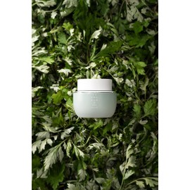 THE FACE SHOP Yehwadam Artemisia Soothing Moisturizing Cream