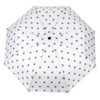 itsisa Umbrella Transparent - Dome Umbrella with Automatic Opening Umbrella,