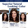 Clairol Nice'n Easy Permanent Hair Dye, 4 Dark Brown Hair