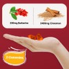 IIEltruiom Ceylon Cinnamon Gummies, Ceylon Cinnamon 2400mg with Berberine, Turmeric,