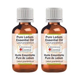 Greenwood Essential Pure Ledum Essential Oil (Ledum groenlandicum) Steam Distilled (Pack of Two) 100ml X 2 (6.76 oz)