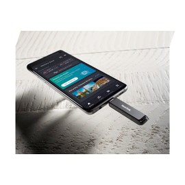 SanDisk 256GB Ultra USB Type-C Flash Drive - SDCZ460-256G-G46, Black