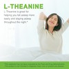 DAVINCI DAVINCI Labs L-Theanine - Dietary Supplement to Help with