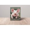 James Coates - Happy Birthday You Filthy Animal Pig Card
