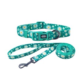 Ovale Dog Collar Leash Combo Set, Adjustable Collar and 5 ft Matching Leash, for Small Dogs.(S, Green Daisy)