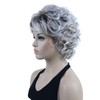 Lydell 10" Women's Short Soft Super Curly Wig Layered Natural
