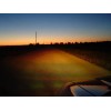 CATZ H4 9003 HID AMBER Halogen Light Bulb fits PIAA