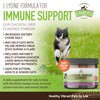 Strawfield Pets L-Lysine Immune Support for Cats & Kittens -