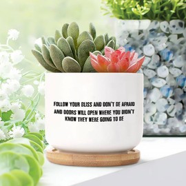 DecStic Follow Your Bliss and Don't Be Afraid and Doors Will Open Planters Ceramic Bible Verse Round Flower Pot with Drainage Holes and Bamboo Tray Pot for Home Office Decoration