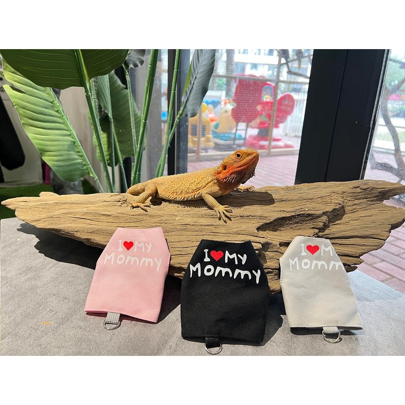 Bearded Dragon Carrier Backpack with Security Printing Harness Set, Reptile