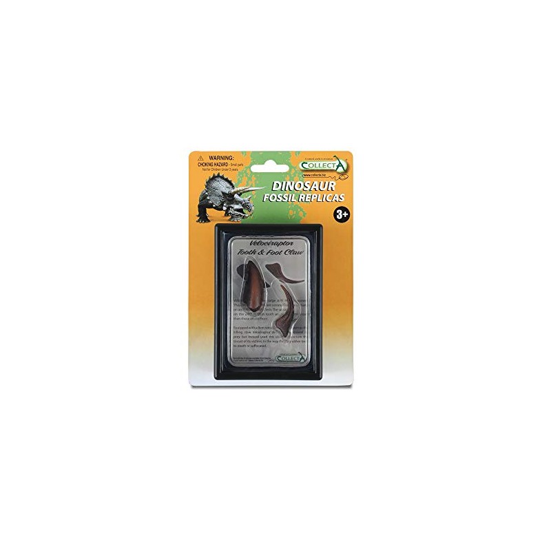 Collecta Tooth and Foot Claw Velociraptor Box Set