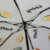 Lemasi Mini Umbrella Pocket Umbrella Small & Compact Colourful and