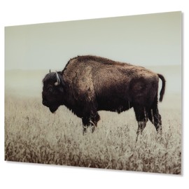 Signature Design by Ashley Brutus Rustic Glass American Bison Canvas Wall Art, 48 x 36, Brown