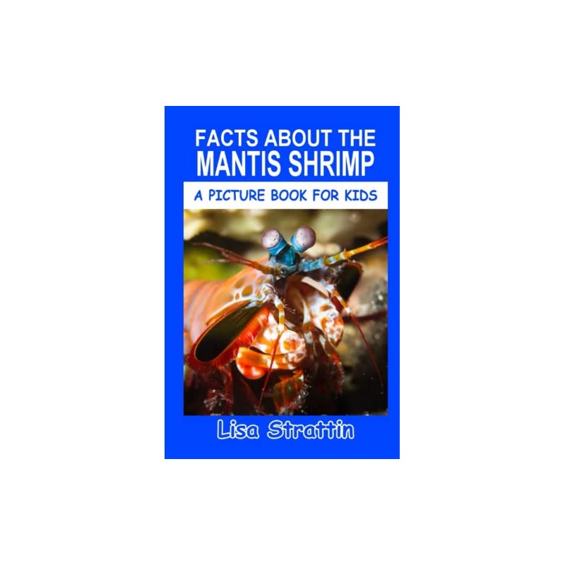 Facts About the Mantis Shrimp