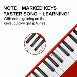 EROK 32 Keys Melodica Keyboard Instrument - Portable with Carrying Bag, Ideal for Beginners & Adults Gift (Red)