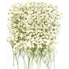 White Babys Breath Dried Pressed Flowers for Crafts, Real Natural Dry Flowers Bulk for Wedding Card Home Party Decor, Resin Art, Bookmark, Scrapbook, Jewelry, Candle & Soap Making (100PCS)