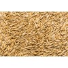 Thunder Acres Non GMO, Certified Organic, Oat seed (1/2 lb.)