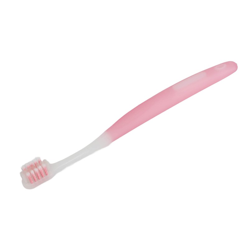 10 Pcs Interdental Tooth Brush Orthodontic Apparatus Cleaning Teeth Cleaning