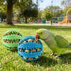 KCMOSGI 2 PCS Parrot Feeder Chew Toy Balls, Bird Treat