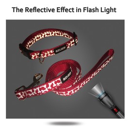 azuza Dog Collar and Leash Set, Adjustable Nylon Collar with Matching Leash for Large Dogs, Foil Printing Dog Bone Pattern, Red